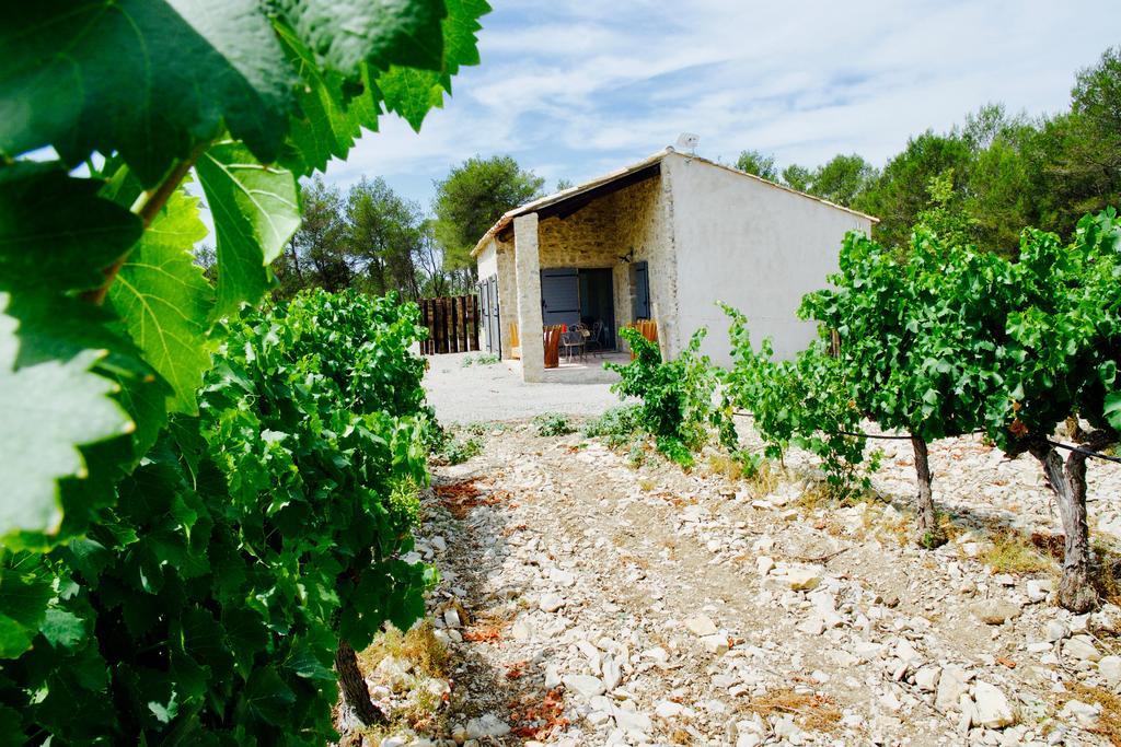 Les Lodges Du Pic Le Triadou Bagian luar foto